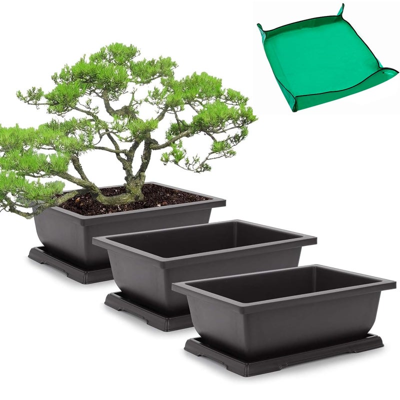 GROWNEER Bonsai Pots 3 Packs 11 Inch Bonsai Tree Training Pot with Humidity Drainage Trays & Repotting Mat Rectangle Planter Plants Starter Kit Growing for Garden Yard Office Indoor Outdoor - Image 1